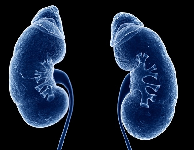Largest African Genomic Study Reveals New Kidney Disease Insights
