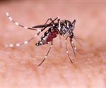 New method to track how yellow fever mosquito moves through environment