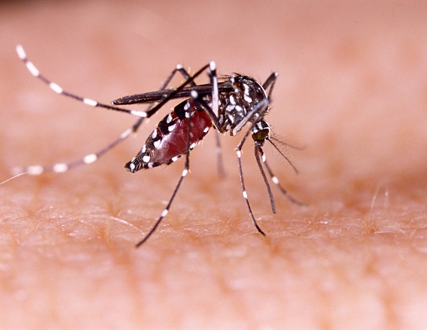 Advanced Molecular Blueprints Guide Development Of Next-Generation Malaria Drugs