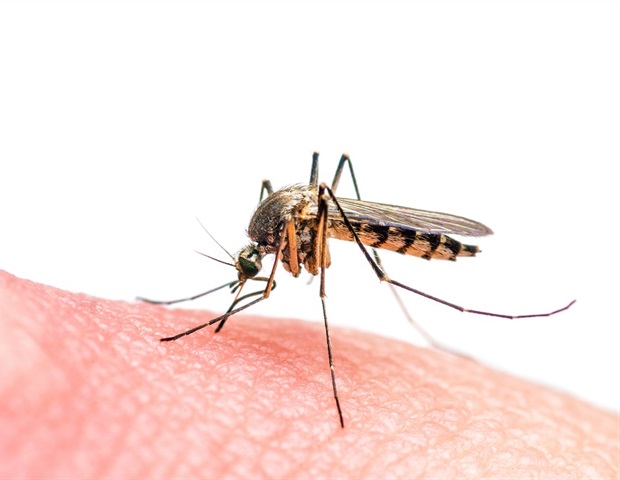 Advanced Molecular Blueprints Guide Development Of Next-Generation Malaria Drugs