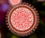 Zika Virus Hijacks Cellular Cleanup to Suppress Immune Response