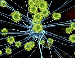 Exploring Drug Repurposing For Arboviral Infections Through Cavitomix
