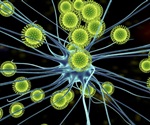 Zika Virus Hijacks Cellular Cleanup to Suppress Immune Response