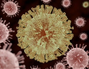 Zika Virus Hijacks Cellular Cleanup to Suppress Immune Response