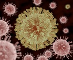 Zika Virus Hijacks Cellular Cleanup to Suppress Immune Response