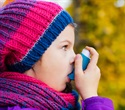 New Research Identifies Gut Fungi as Markers for Food Allergies