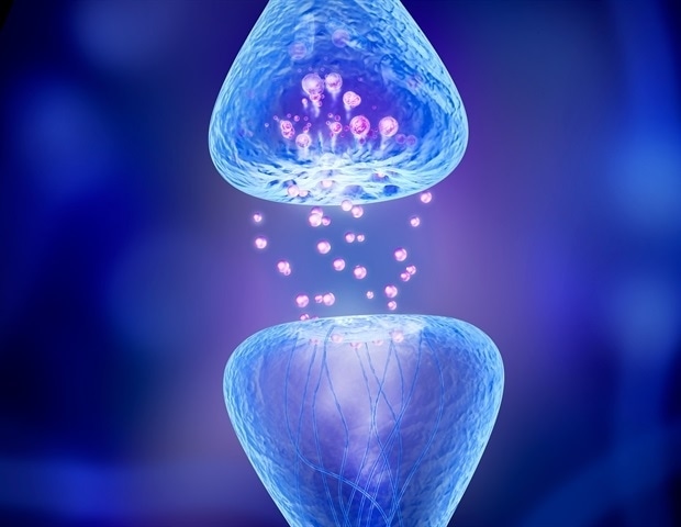Newly Identified Cell Surface Receptor Triggers Rapid Neuron Growth