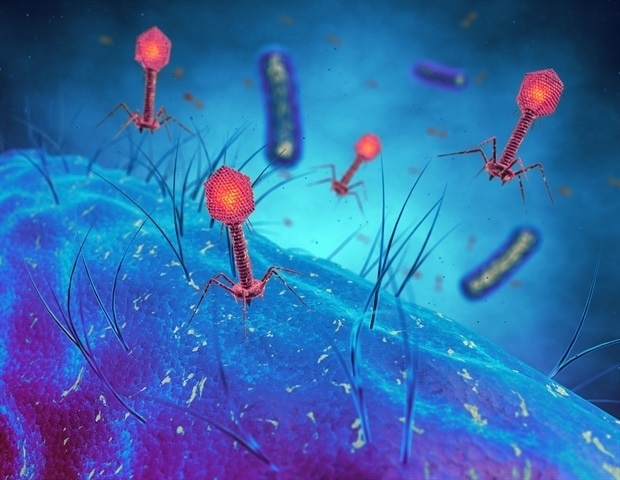 RNA-Based Barcoding Tool Tracks Virus-Host Interactions Inside Bacterial Communities