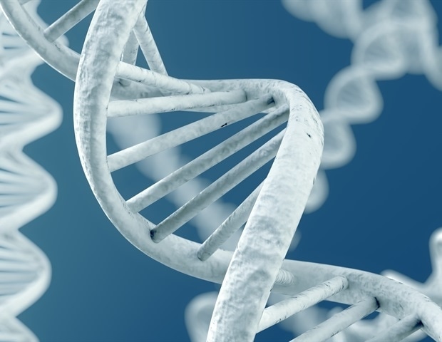 How Domestication Changed Cat Genes and Behavior
