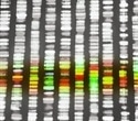Earth BioGenome Project Aims to Build a Digital Library of All Life