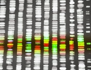 Earth BioGenome Project Aims to Build a Digital Library of All Life