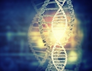 Frog Egg Extracts Illuminate the Untangling Mechanism of DNA Knots