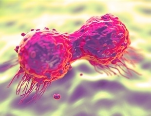 Canine DNA Reveals New Genes Linked to Gastric Cancer In Humans