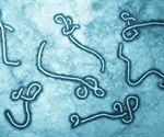 Capturing Viruses in a Lipid Trap