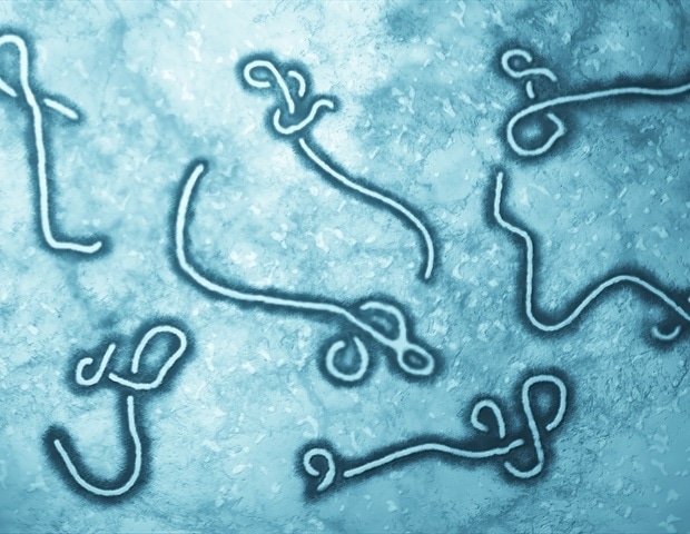 Researchers Discover Groundbreaking Protein-Stabilizing Antiviral for Ebola
