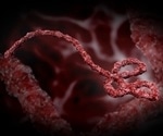 New Model for Studying Ebola Virus Pathogenesis