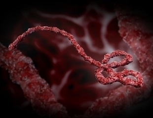 Cryo-Electron Microscopy Reveals Structure of Borna Virus RNA Protein Complex