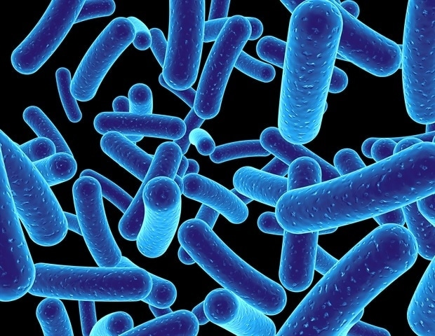 Uncovering the Gut Virome's Role in Health and Disease