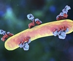 Antibody Applications