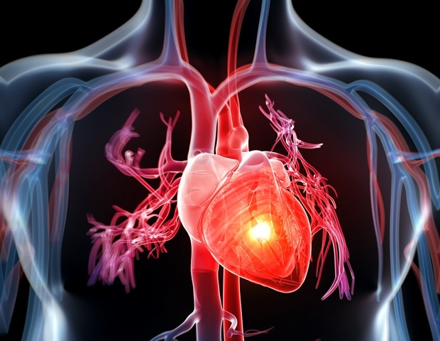 Nagoya University Team Identifies BCAT1 Enzyme as Key Driver of Cardiac Fibrosis