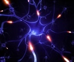 ADSC-Exos and BMSC-Exos Protect Retinal Ganglion Cells From Hydrostatic Pressure Damage