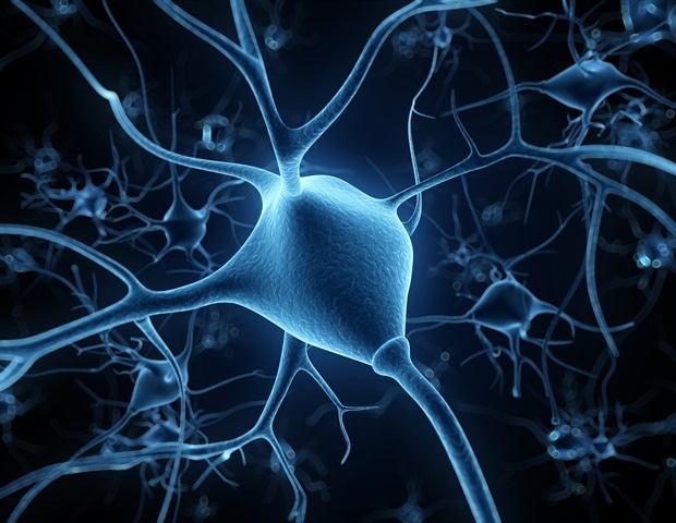 Scientists Use Advanced 3D Imaging to Visualize Joint Nerves