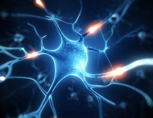 Study Reveals Mechanisms Behind Swallowing in Detail