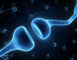 Harnessing Immune Cell Triads for Effective Cancer Treatment