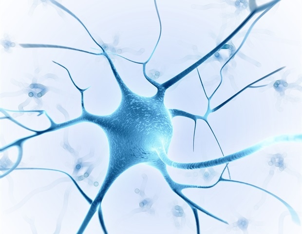 Newly Discovered Neurons Respond to Complex Spatial Frequencies