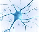Breakthrough Research Discovers How the Body Controls Itch