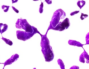Newly Developed Antibody Therapy to Have Benefits Over Existing Opioid-Overdose Treatments