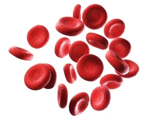 Breakthrough in Lab-Grown Blood Stem Cells Using Self-Organizing Embryo Models