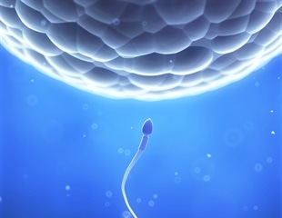 Mapping Life’s Origins with Billions of DNA Barcodes