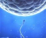 Mystery of the “Fungus-Eating Plant” Solved