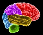 Study Reveals How APOE Isoforms Impact Brain Microglia
