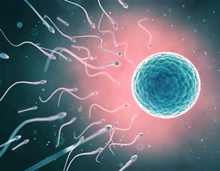 Unlocking the Secrets of Fertilization Inhibition