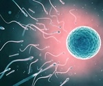 Human Urine Recycling Promotes Agricultural Sustainability