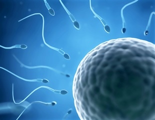 How Does the Egg Coat Prevent Multiple Fertilization