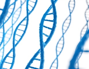 Researchers Develop New Method for Assembling DNA Nanostructures