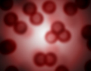 Breakthrough in Lab-Grown Blood Stem Cells Using Self-Organizing Embryo Models