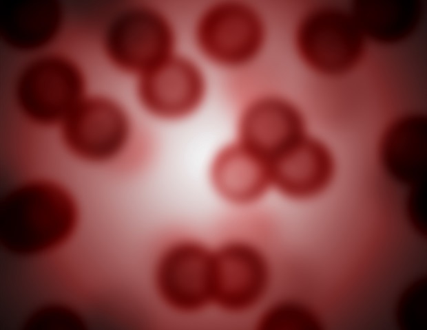 Discovery of Heme Transport Pathway Solves Longstanding Red Blood Cell Enigma