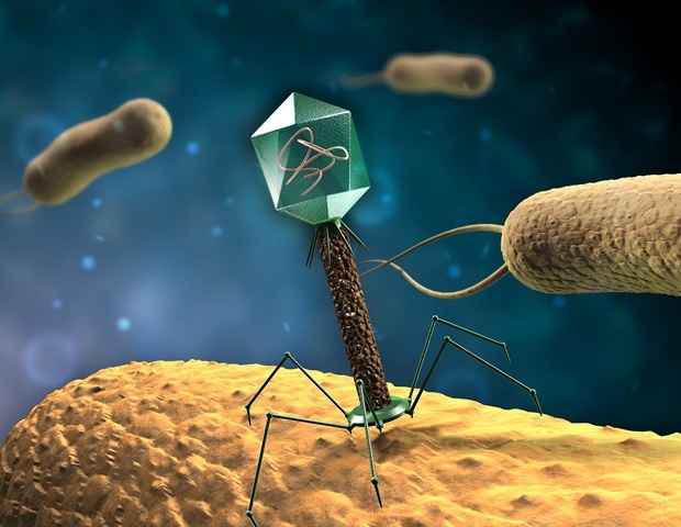 Genetically Stable Bacteriophages Open New Frontiers for Fighting Crop Disease
