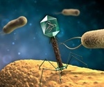 Phage-Derived Endolysin Offers Targeted Treatment for Dysbiosis-Driven Acute GVHD