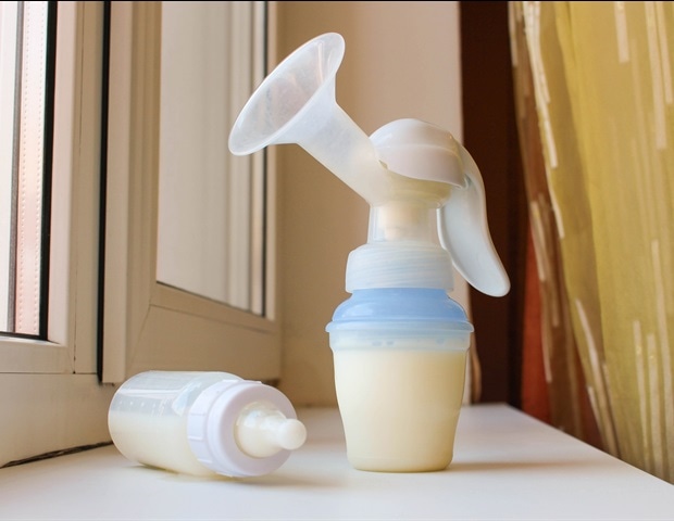 Maternal Diet Fatty Acid Enriches Long Term Offspring Immune Health