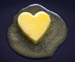 New perspectives challenge diet-heart-hypothesis