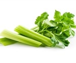 Molecular Docking Analysis Unlocks Secrets of Flavonoid Metabolism