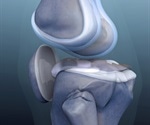 Research Shows Evolutionary Divergence in Knee Bones of Primates