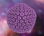 Researchers explore the reproduction of adenoviruses in cells