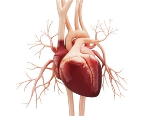 Beta blockers can increase risk of heart failure in women more than men