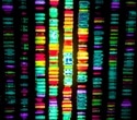 Earth BioGenome Project Aims to Build a Digital Library of All Life